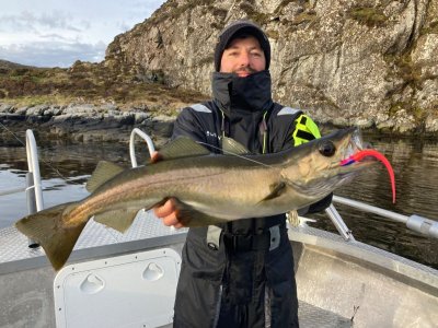 Fischi1.jpg Fischi1.jpg