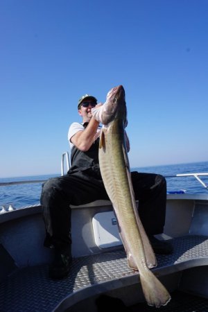 DSC00018-min.JPG DSC00018-min.JPG