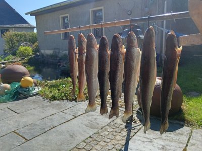 IMG_20250427_103946.jpg