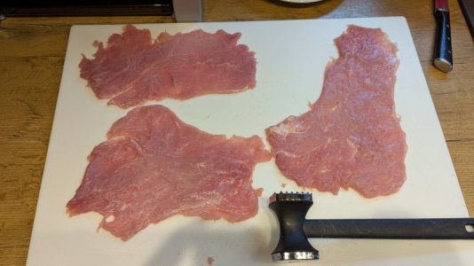 PXL_20250409_151316711.RAW-01.COVER.jpg