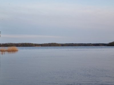 20250428_054251.jpg