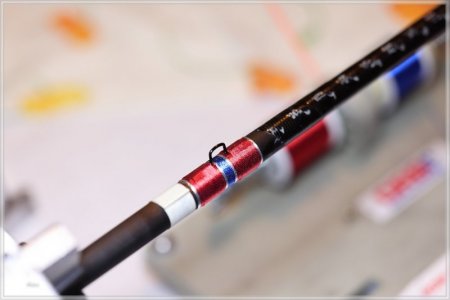 C85A2490.comp.jpg