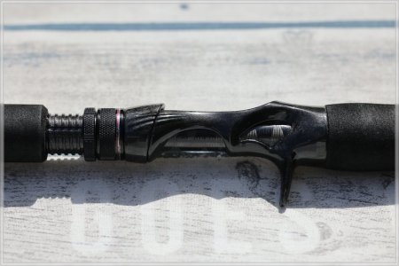 C85A2496.comp.jpg