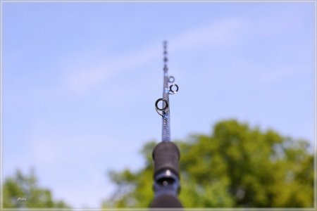 C85A2501.comp.jpg