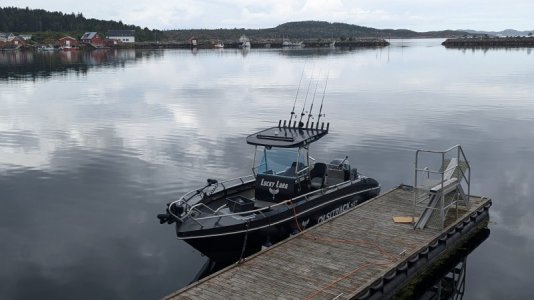 PXL_20240727_105253889.jpg PXL_20240727_105253889.jpg