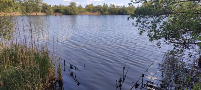 IMG_20250501_154213.jpg IMG_20250501_154213.jpg