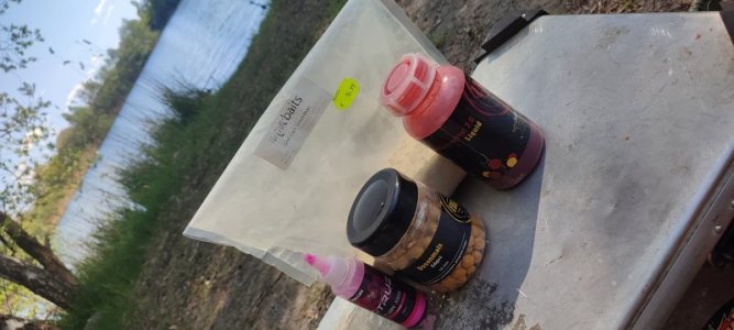 IMG_20250501_154140.jpg IMG_20250501_154140.jpg