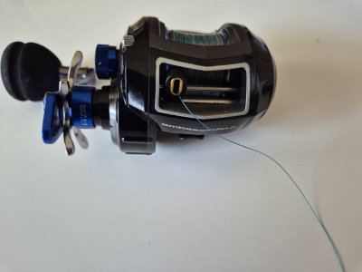 20250428_141833.jpg
