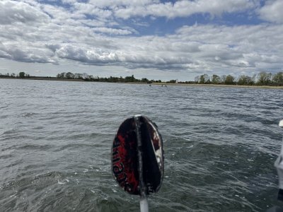 IMG_2250.jpeg IMG_2250.jpeg