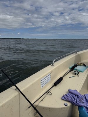 IMG_2249.jpeg IMG_2249.jpeg