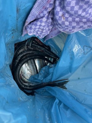 IMG_2248.jpeg IMG_2248.jpeg