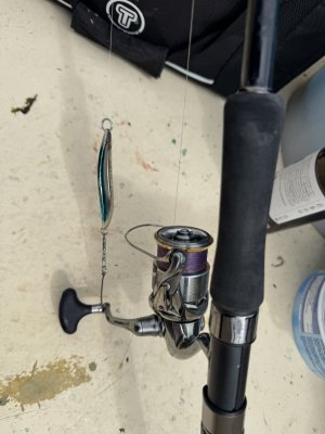 IMG_2247.jpeg IMG_2247.jpeg