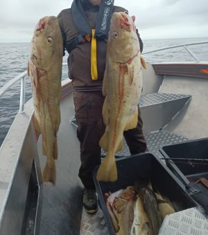 IMG_20250507_060710_269~2.jpg IMG_20250507_060710_269~2.jpg