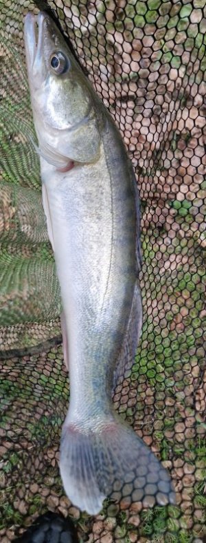 20250507_194600.jpg 20250507_194600.jpg