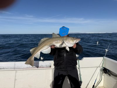 IMG_4554.JPG IMG_4554.JPG