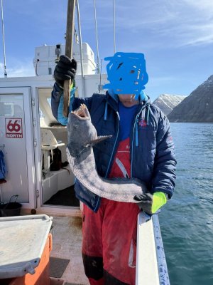 IMG_4585.JPG IMG_4585.JPG