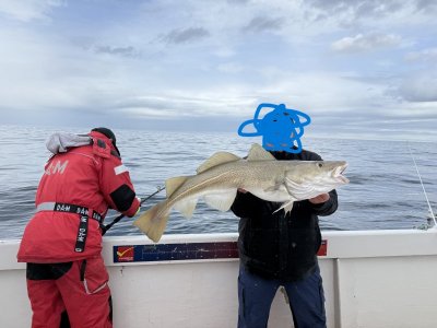 IMG_4649.JPG IMG_4649.JPG