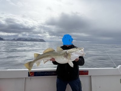 IMG_4664.JPG IMG_4664.JPG