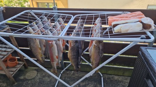 IMG-20250510-WA0002.jpeg