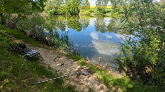 PXL_20250511_135902695.RAW-01.COVER.jpg PXL_20250511_135902695.RAW-01.COVER.jpg