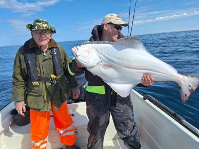 IMG-20250512-WA0005.jpg IMG-20250512-WA0005.jpg