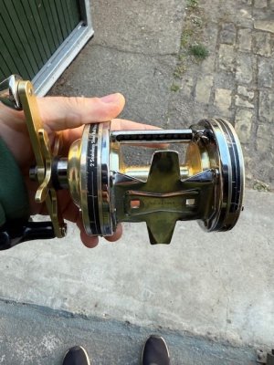 Bild 2.jpg