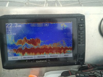 IMG_20250517_140404_110.jpg IMG_20250517_140404_110.jpg