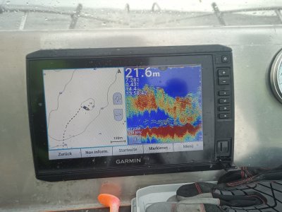 IMG_20250517_135843_174.jpg IMG_20250517_135843_174.jpg