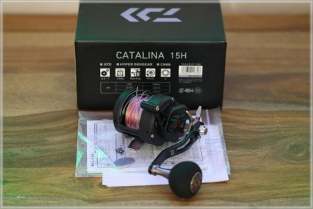 C85A2527.comp.jpg C85A2527.comp.jpg