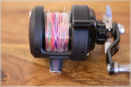 C85A2534.comp.jpg C85A2534.comp.jpg