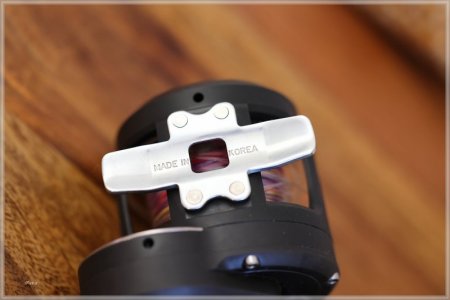 C85A2536.comp.jpg C85A2536.comp.jpg