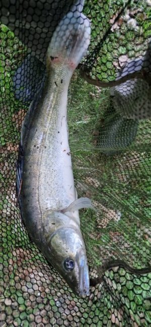 20250520_203913.jpg 20250520_203913.jpg