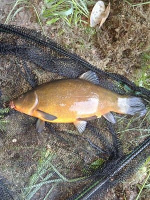 20250523_061752.jpg 20250523_061752.jpg