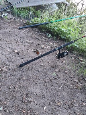 20250523_054619.jpg 20250523_054619.jpg