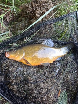 20250521_173425.jpg 20250521_173425.jpg