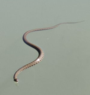 1747990825629.png 1747990825629.png