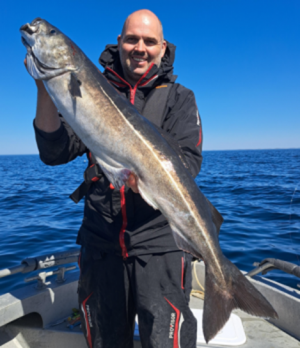 1748000724405.png 1748000724405.png