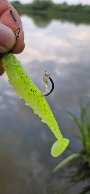 20250525_193058.jpg 20250525_193058.jpg