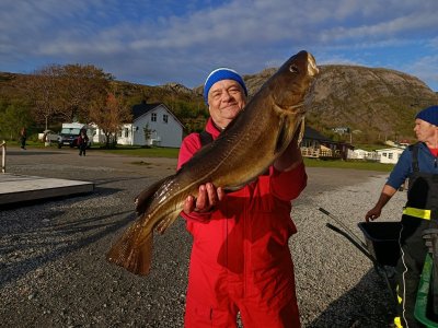 IMG_20250526_200626.jpg IMG_20250526_200626.jpg