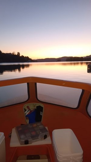 20250521_040104.jpg 20250521_040104.jpg