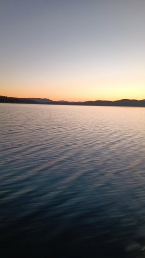 20250521_042043.jpg 20250521_042043.jpg