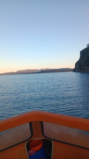 20250523_052238.jpg 20250523_052238.jpg