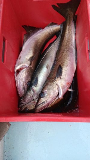 20250522_064202.jpg 20250522_064202.jpg