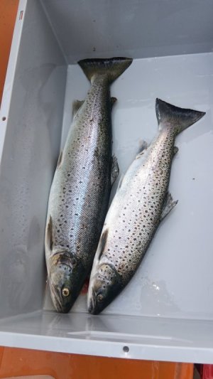 20250526_133652.jpg 20250526_133652.jpg