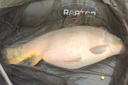 IMG_20250527_122242.jpg IMG_20250527_122242.jpg