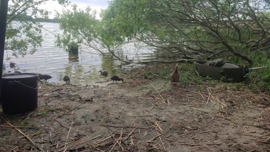 IMG-20250526-WA0004.jpeg IMG-20250526-WA0004.jpeg