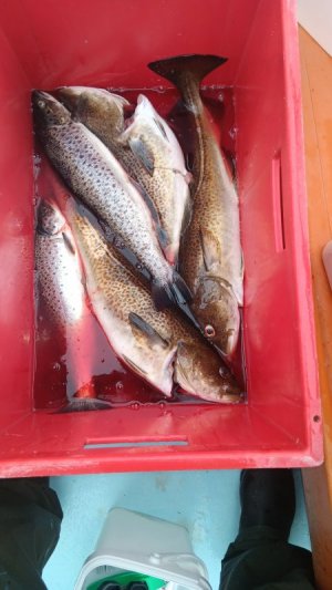 20250527_071836.jpg 20250527_071836.jpg