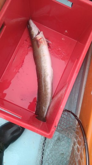 20250527_081010.jpg 20250527_081010.jpg