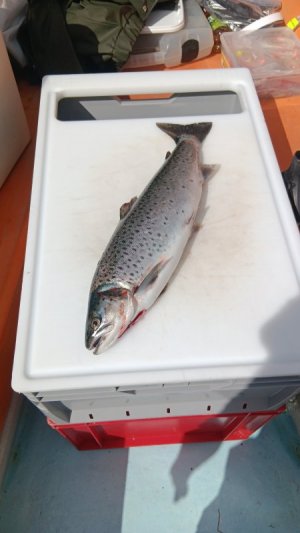 20250528_102305.jpg 20250528_102305.jpg