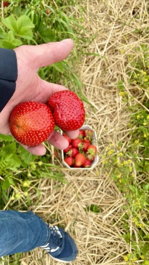 IMG_7075.jpeg IMG_7075.jpeg